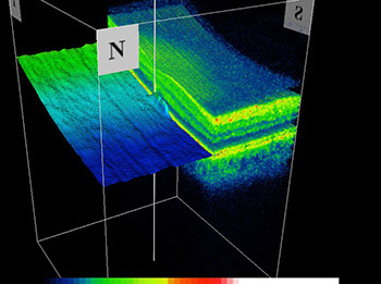 3D OCT Scans Data