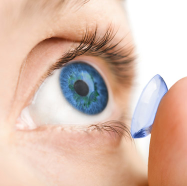 Contact Lenses